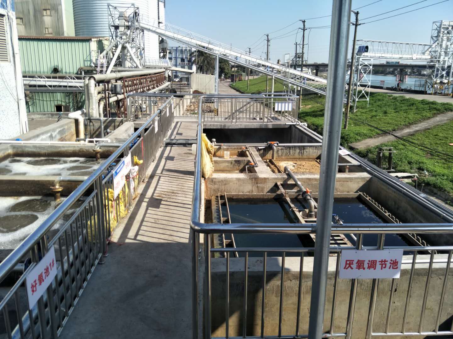 食品廢水植物處理技術，你知道嗎？